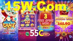 55C App Interface