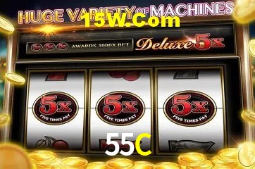 Login Seguro 55C